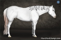Horse Color:Red Dun Roan Frame Snowcap 