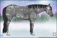 Horse Color:Black Ice 