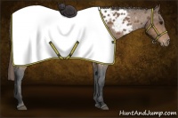 Horse Color:Buckskin Appaloosa Rabicano 