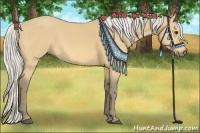 Horse Color:Silver Buckskin 