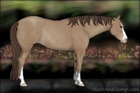 Horse Color:Classic Champagne Sabino Rabicano 