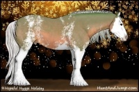 Horse Color:Watercolor White Spotted Silver Brown Sabino Splash