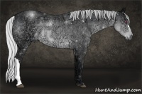 Horse Color:Silver Brown Chinchilla Ice