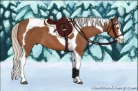 Horse Color:Silver Bay Splash Tobiano 
