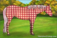 Horse Color:Plaid  Silver Buckskin 