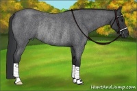 Horse Color:Blue Roan Rabicano