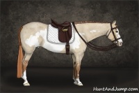 Horse Color:Red Dun Roan Frame 
