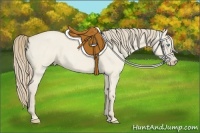 Horse Color:Smoky Creme Roan Dun 