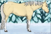 Horse Color:Silver Buckskin Dun Tobiano Rabicano