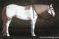 Horse Color:Buckskin Roan Splash Frame Appaloosa 
