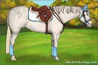 Horse Color:Perlino Roan 