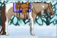 Horse Color:Liver Red Dun Roan Tobiano
