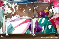 Horse Color:White Spotted Silver Brown Sabino Splash Appaloosa Rabicano 