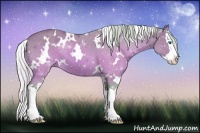 Horse Color:Watercolor White Spotted Silver Brown Splash