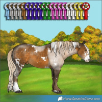 Horse Color:White Spotted Chocolate Palomino Mushroom Sabino Rabicano