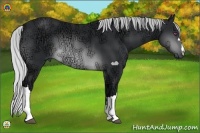 Horse Color:Silver Brown Chinchilla Ice 