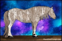 Horse Color:Chocolate Palomino Ice Sabino Rabicano