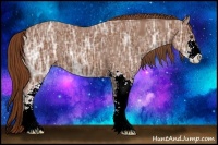Horse Color:Chestnut Ice Sabino 