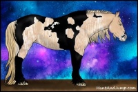 Horse Color:Gold Champagne Ice Sabino Tobiano 