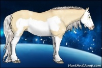 Horse Color:Silver Amber Champagne Dun Splash Frame 