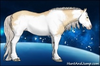 Horse Color:Silver Amber Champagne Dun Splash Frame 