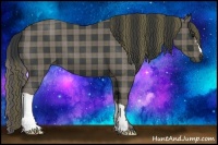 Horse Color:Plaid Blue Roan