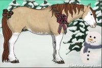Horse Color:Red Dun Splash Brindle