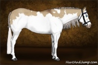 Horse Color:White Spotted Silver Brown Dun Splash Frame