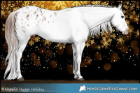 Horse Color:Brown Ice Appaloosa  Brindle