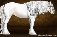 Horse Color:Cremello Tobiano 