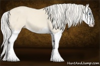 Horse Color:Cremello Splash 