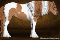 Horse Color:Chestnut Tobiano