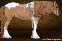 Horse Color:Chestnut Tobiano