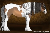 Horse Color:Buckskin Splash Tobiano 