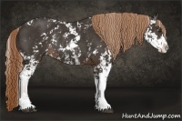 Horse Color:Liver Chestnut Sabino Rabicano 