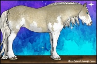Horse Color:Chocolate Palomino Splash