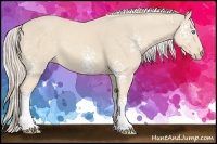 Horse Color:White Spotted Cremello Rabicano