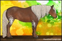 Horse Color:White Spotted Liver Chestnut Rabicano 