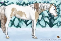 Horse Color:White Spotted Liver Red Dun Splash Tobiano