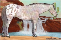 Horse Color:Nacre Brown Ice Appaloosa  Brindle