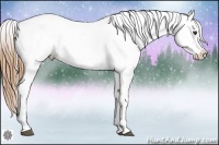 Horse Color:Chestnut Snowflake Varnish
