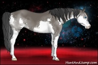 Horse Color:Grullo Splash 