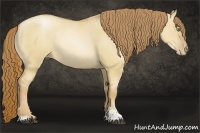 Horse Color:Red Dun Pearl Sabino Rabicano