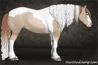 Horse Color:Smoky Black Pearl Splash Tobiano Rabicano 