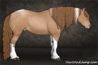 Horse Color:Brown Pearl Tobiano