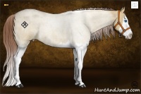 Horse Color:Red Dun Roan Splash Rabicano 