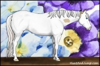 Horse Color:Silver Bay Dun Splash Tobiano 
