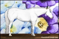 Horse Color:Silver Bay Dun Splash Tobiano