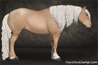Horse Color:Silver Brown Pearl Sabino 