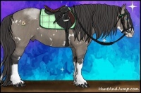 Horse Color:White Spotted Grullo Splash Brindle